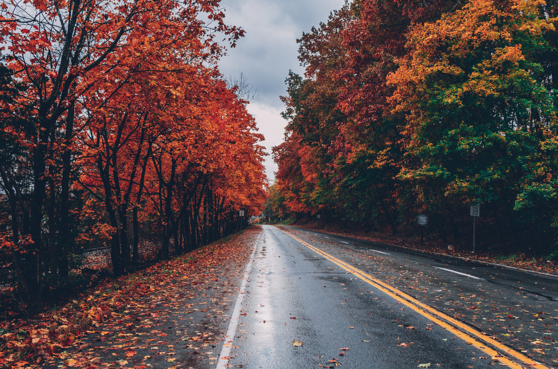 5 Reasons Why You Should Give Sober October a Go