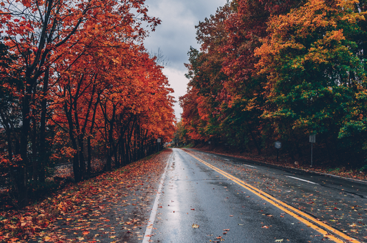5 Reasons Why You Should Give Sober October a Go